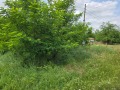 Продава ПАРЦЕЛ, област Плевен, с. Вълчитрън • 7600 лв. / 3885.82 € • 35555909 2