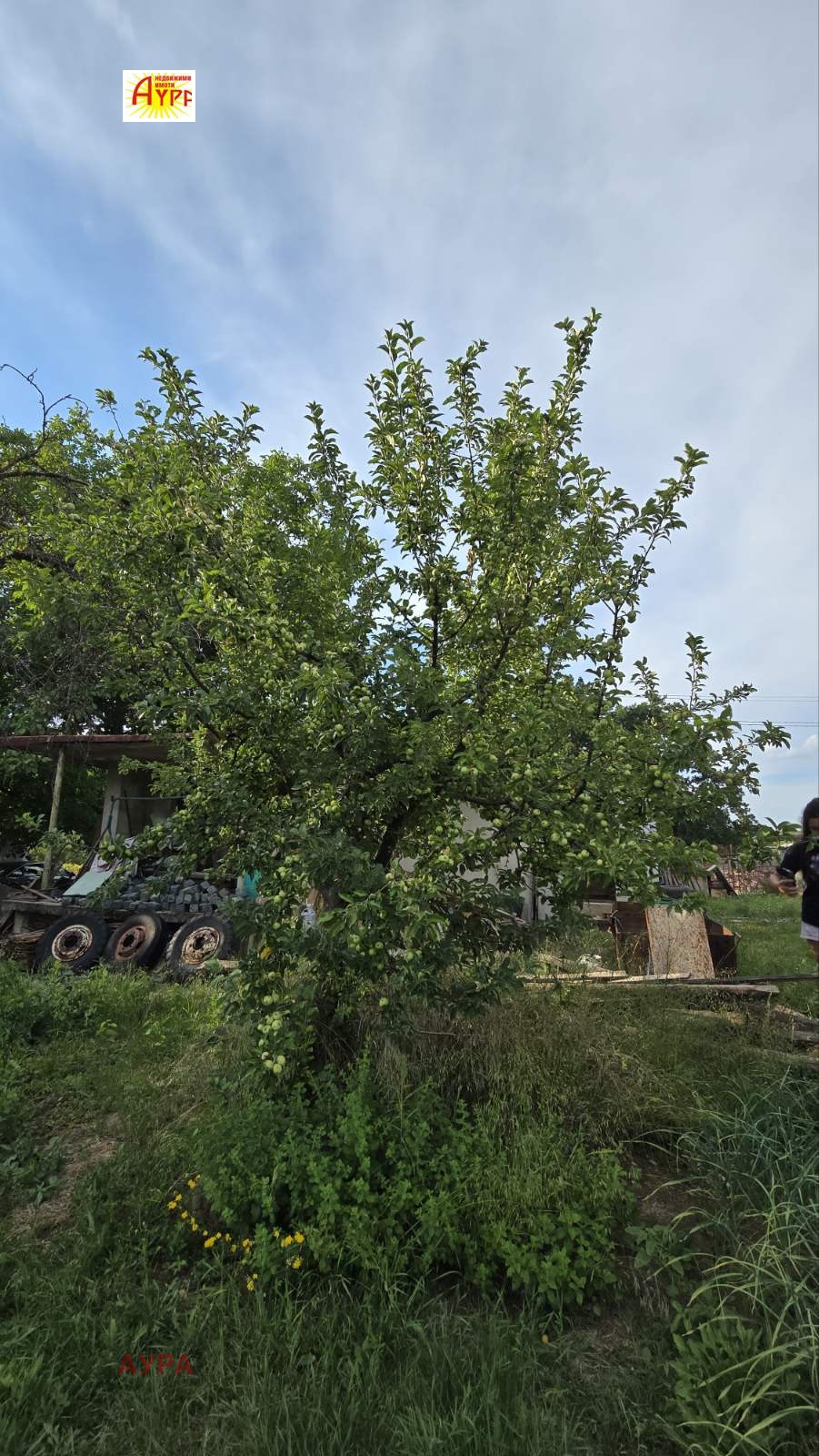 ������� ������ | Imot.bg � ����������� 11