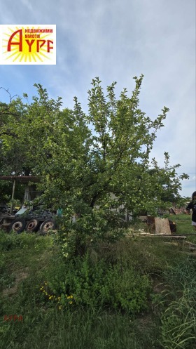 ������� ������ | Imot.bg � ����� ������ 11
