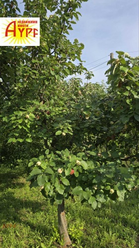 ������� ������ | Imot.bg � ����� ������ 13