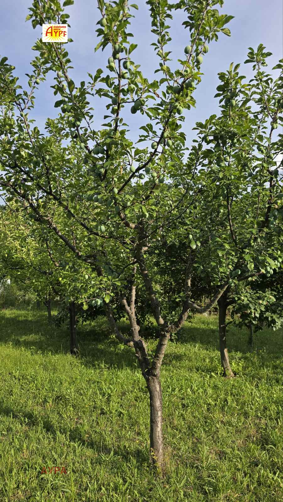 Продава ПАРЦЕЛ, гр. Враца, Студентски град, снимка 9 - Парцели - 55297034