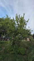 Продава ПАРЦЕЛ, гр. Враца, Студентски град, снимка 11