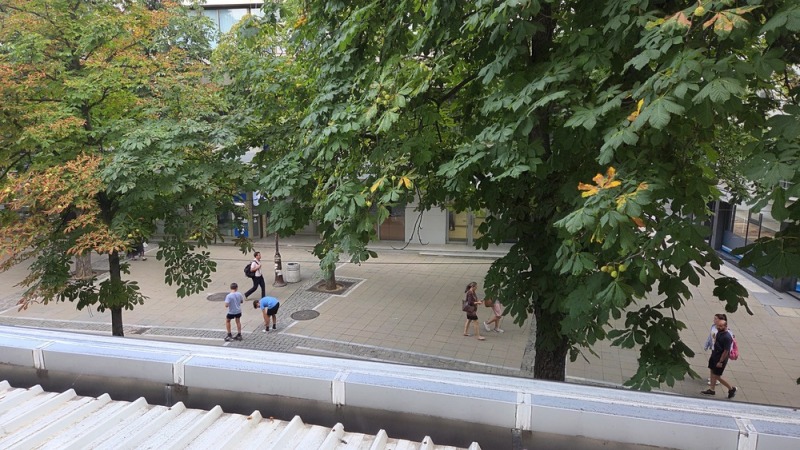 Till salu  3 sovrum Blagoevgrad , Idealen centar , 107 kvm | 98302651 - bild [3]