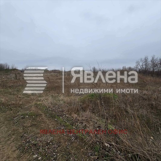 Продава ПАРЦЕЛ, с. Новоселци, област Видин, снимка 2 - Парцели - 53715906