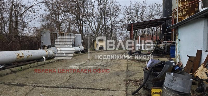 Продава ПАРЦЕЛ, с. Новоселци, област Видин, снимка 4 - Парцели - 53715906