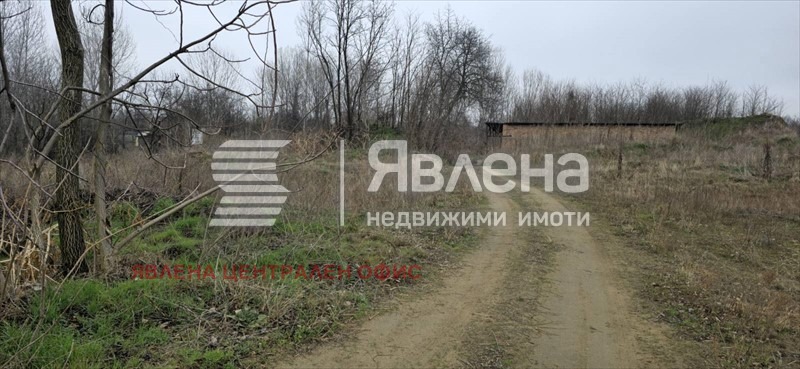 Продава ПАРЦЕЛ, с. Новоселци, област Видин, снимка 5 - Парцели - 53715906