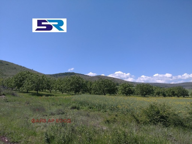 Продава  Земеделска земя област Пазарджик , с. Синитово , 4.299 дка | 77062208 - изображение [3]
