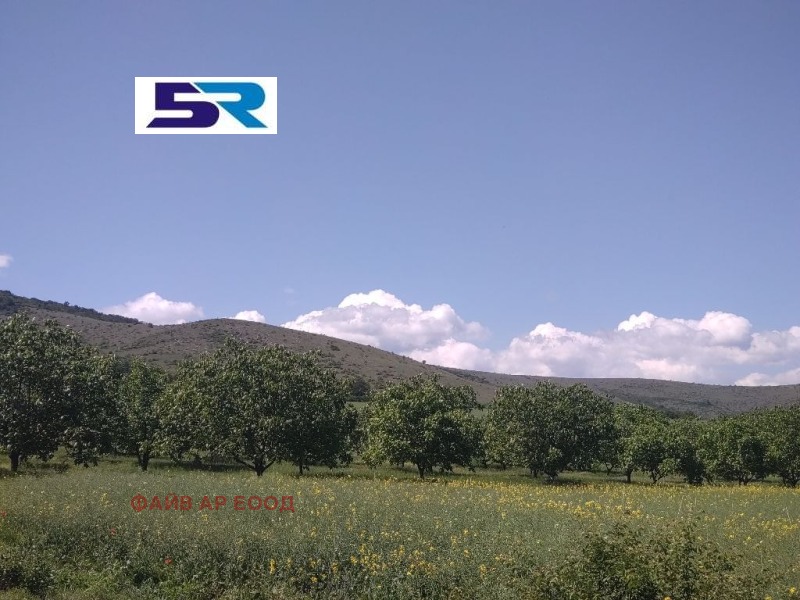 Продава  Земеделска земя област Пазарджик , с. Синитово , 4.299 дка | 77062208 - изображение [4]