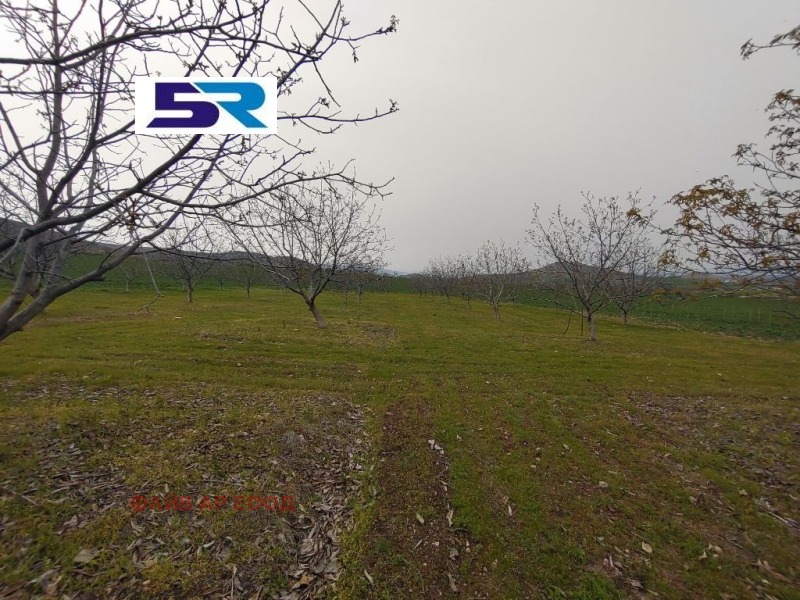 Продава ЗЕМЕДЕЛСКА ЗЕМЯ, с. Синитово, област Пазарджик, снимка 16 - Земеделска земя - 44909329