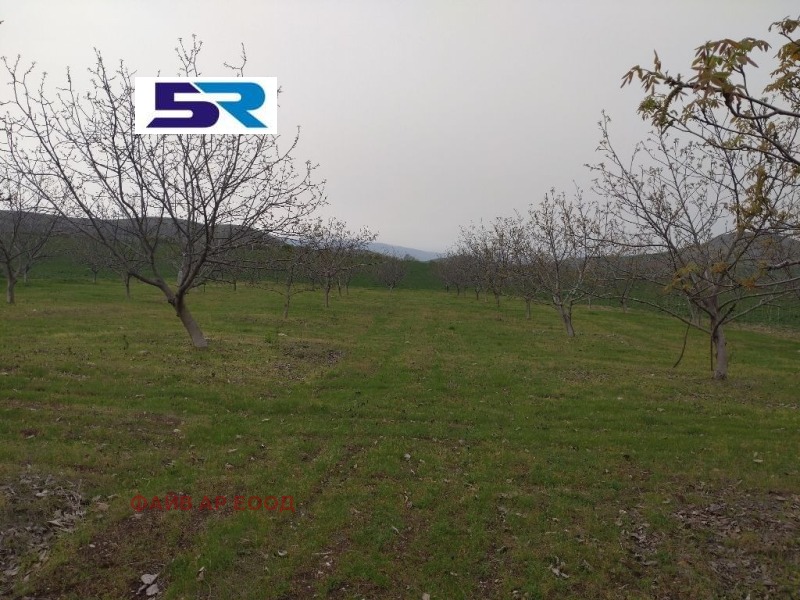 Продава  Земеделска земя област Пазарджик , с. Синитово , 4.299 дка | 77062208 - изображение [6]