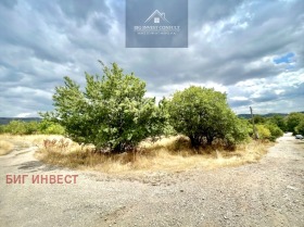 Сюжет Драгоман, область София