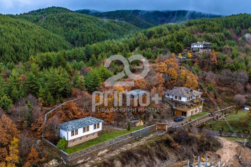 Продава ХОТЕЛ, с. Лещен, област Благоевград, снимка 16 - Хотели - 53254436