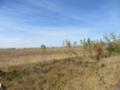 Продава ПАРЦЕЛ, гр. Елин Пелин, област София област, снимка 2