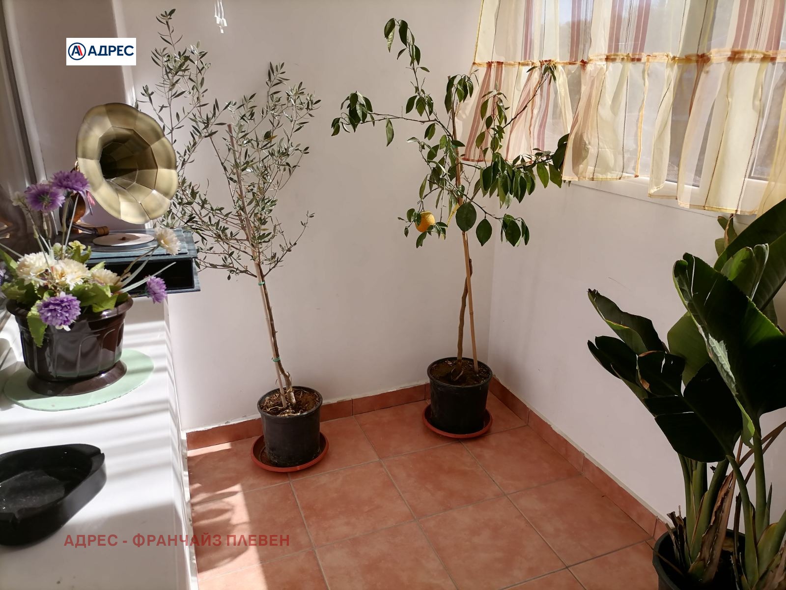 ������� 3-����� | Imot.bg � ����������� 11