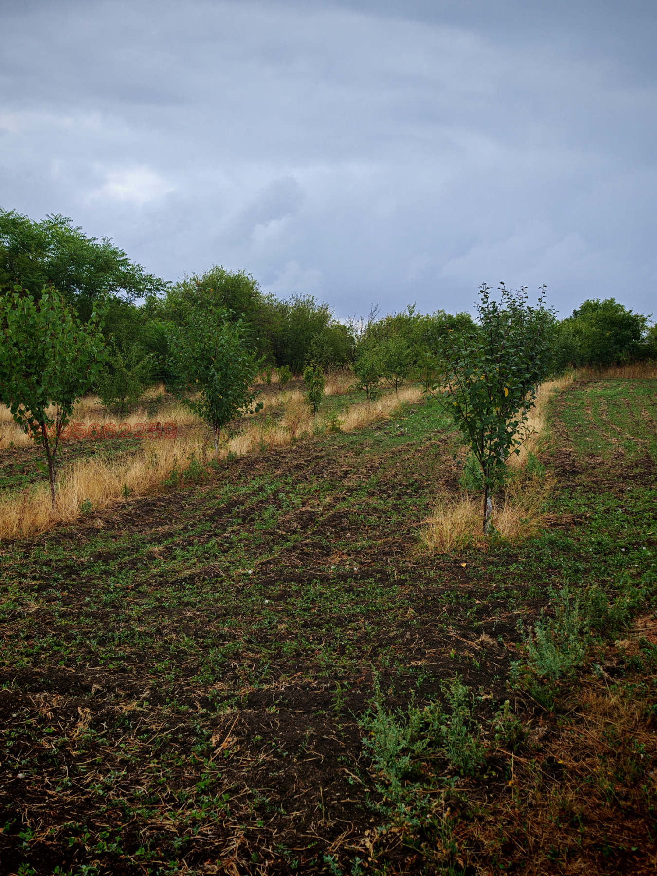 ������� ���� | Imot.bg � ����������� 16