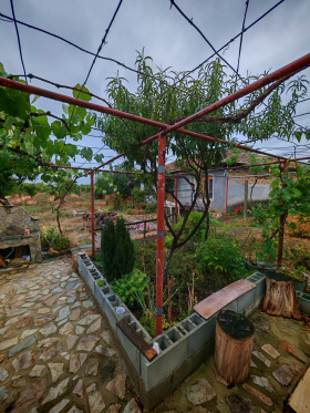 ������� ���� | Imot.bg � ����� ������ 17