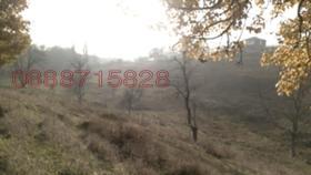   | Imot.bg    6