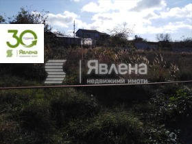 ����� ������� ������,���� �����, ������