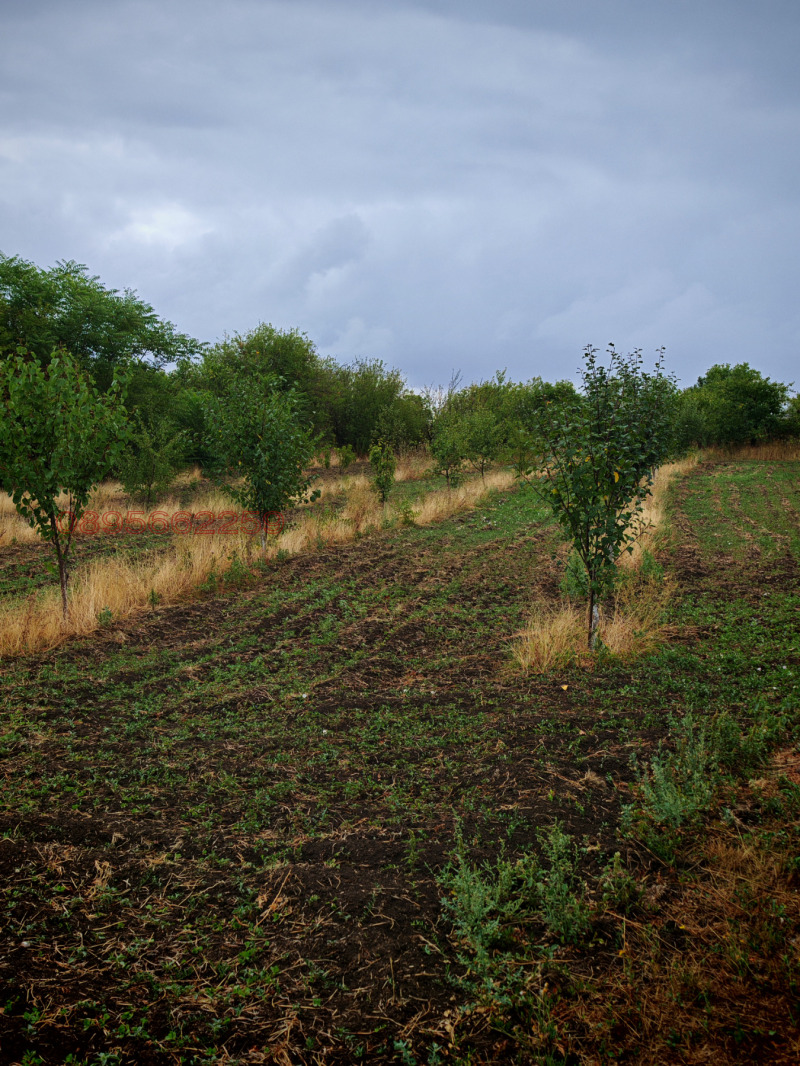 Продава КЪЩА, с. Червенци, област Варна, снимка 15 - Къщи - 52479785