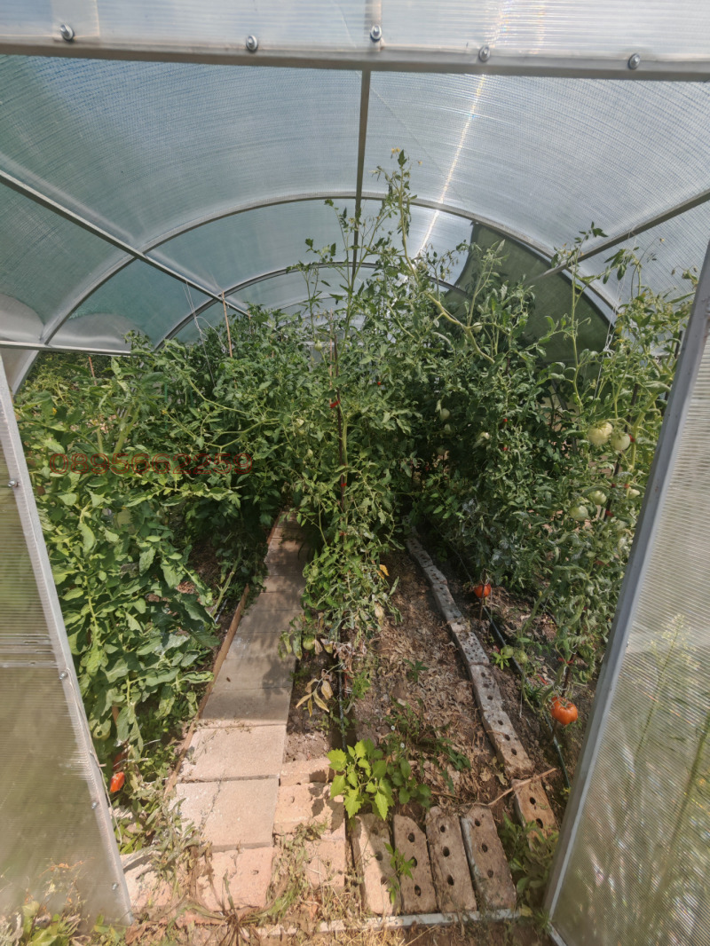 Продава КЪЩА, с. Червенци, област Варна, снимка 7 - Къщи - 52479785