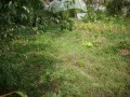 Продава ПАРЦЕЛ, гр. Смолян, Устово, снимка 4
