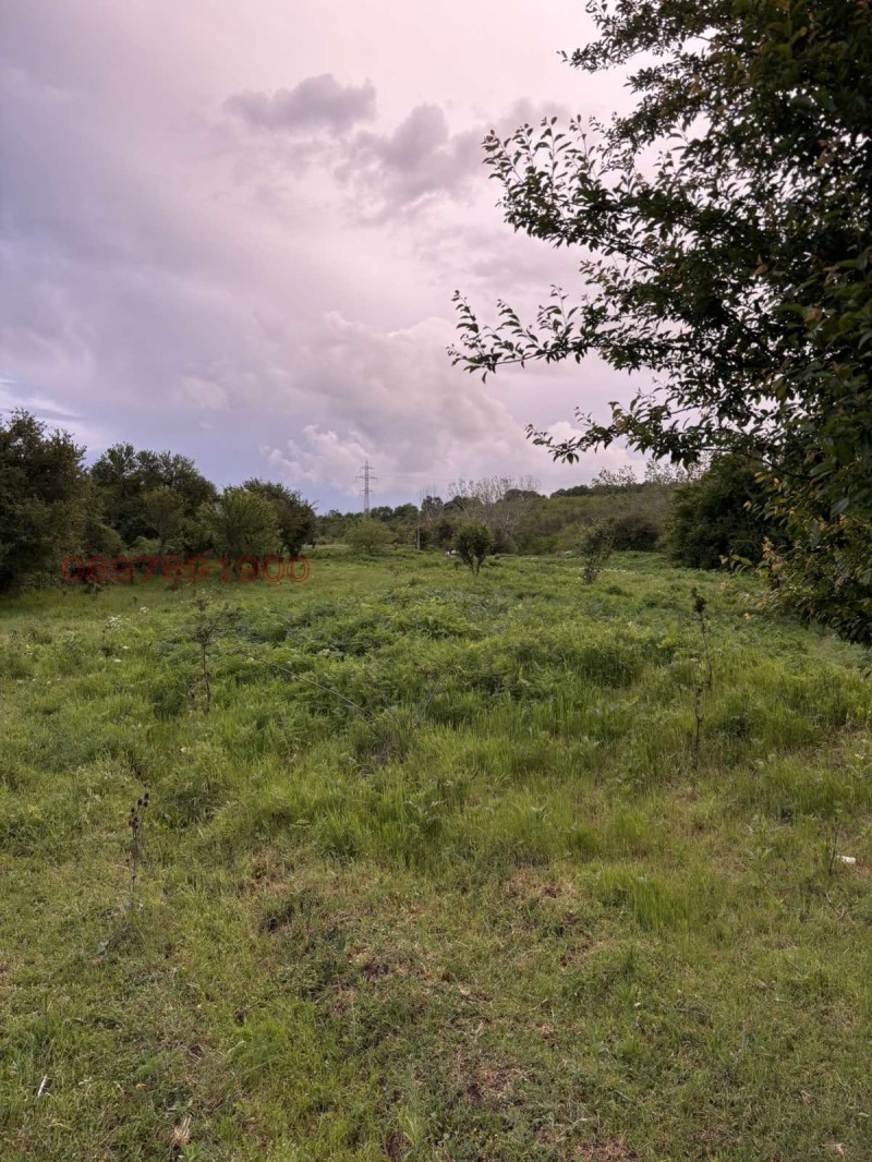 Продава ПАРЦЕЛ, с. Медовина, област Търговище, снимка 4 - Парцели - 52779301