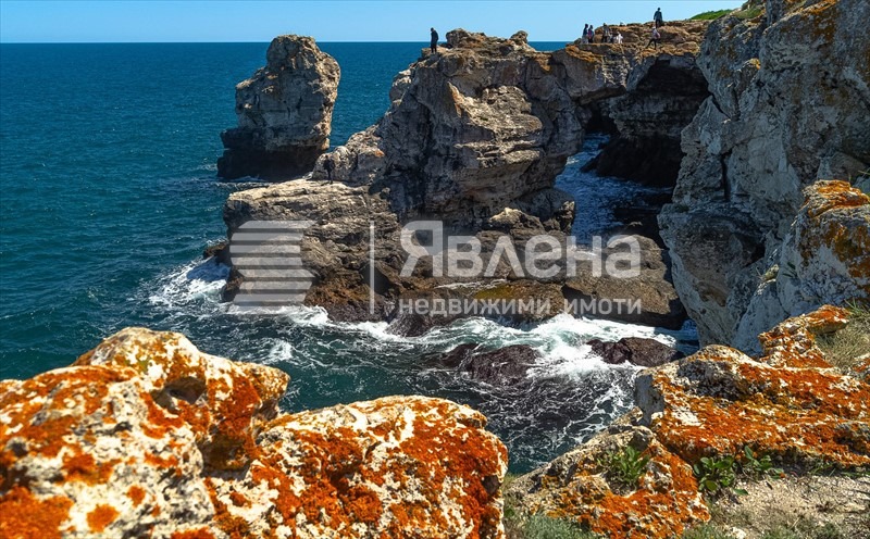 Продается  Сюжет область Добрич , Тюленово , 6000 кв.м | 68177351 - изображение [4]