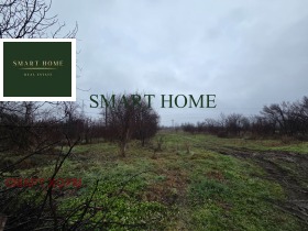 ������ ������� ������