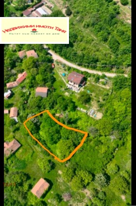 ����� ������� ������,�. ������, ������ ������