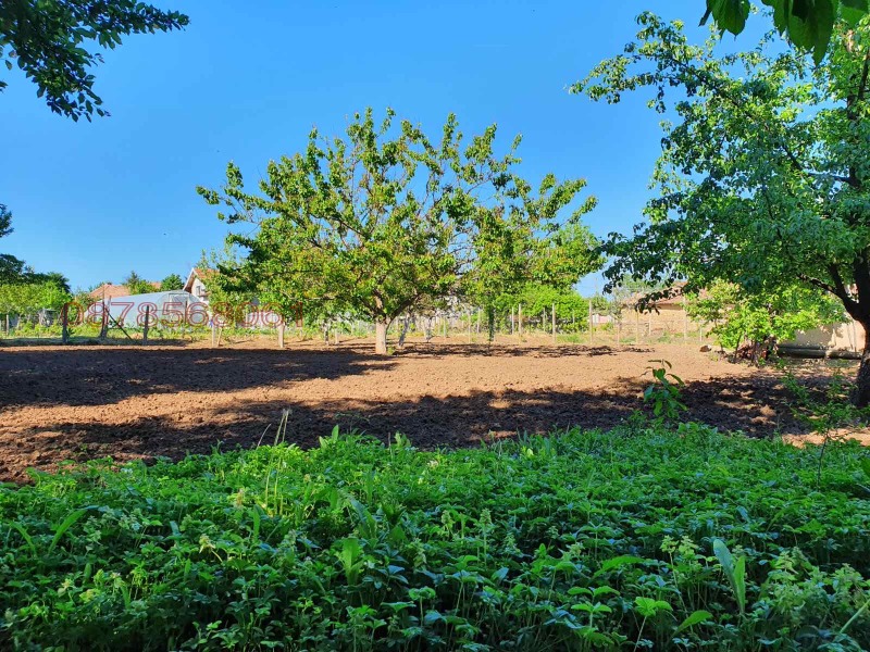 Продава КЪЩА, гр. Долна Оряховица, област Велико Търново, снимка 10 - Къщи - 52779115