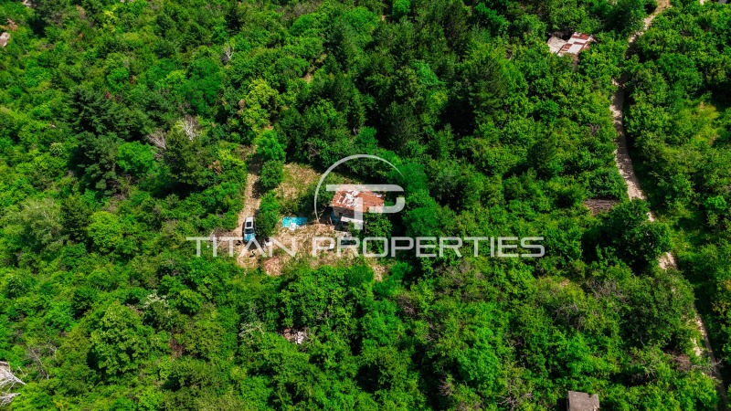 Na prodej  Spiknutí Sofia , German , 512 m2 | 58483516 - obraz [3]