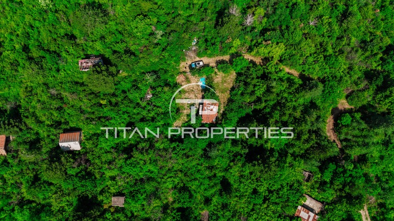 Na prodej  Spiknutí Sofia , German , 512 m2 | 58483516 - obraz [5]