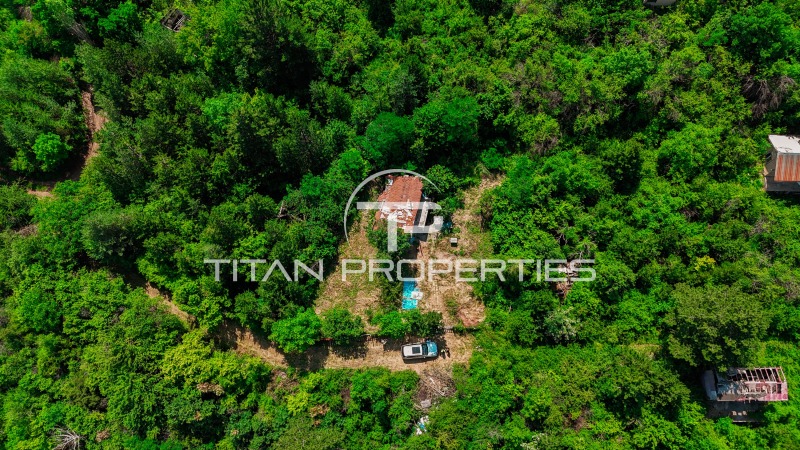 Na prodej  Spiknutí Sofia , German , 512 m2 | 58483516 - obraz [2]