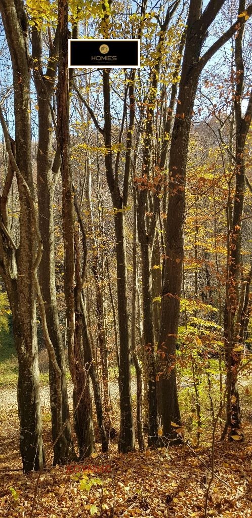 Продава ПАРЦЕЛ, гр. Априлци, област Ловеч, снимка 12 - Парцели - 52143891