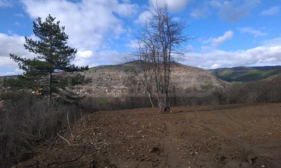 Продава ПАРЦЕЛ, с. Елешница, област София област, снимка 2 - Парцели - 52686862