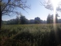 Продава ПАРЦЕЛ, с. Млада гвардия, област Варна, снимка 2