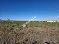 Продава ПАРЦЕЛ, град София, Враждебна • 2150000 € / 4205034.50 лв. • 14345767 2