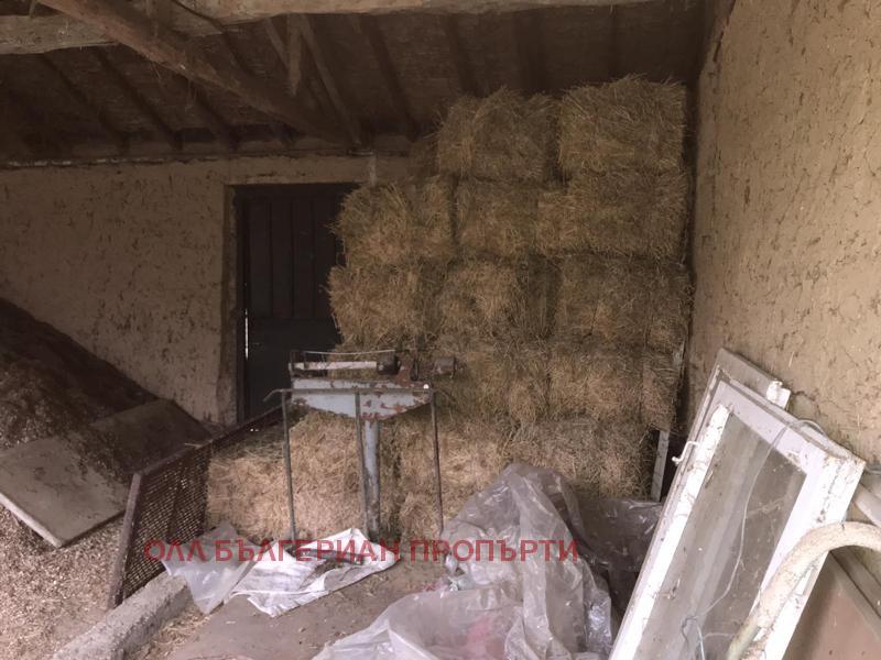 ������� ���� | Imot.bg � ����������� 8