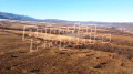 Продава ПАРЦЕЛ, гр. Долна баня, област София област, снимка 2