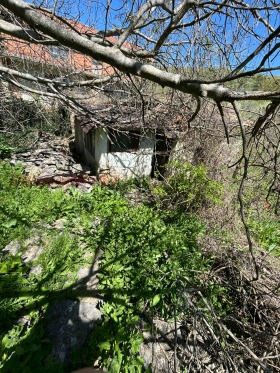 ������� ���� | Imot.bg � ����� ������ 3