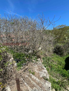 ����� ������� ����,��. ������, ������ ������