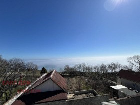 ������ ������� ������