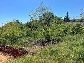 ������� ������ | Imot.bg � ����� ������ 5