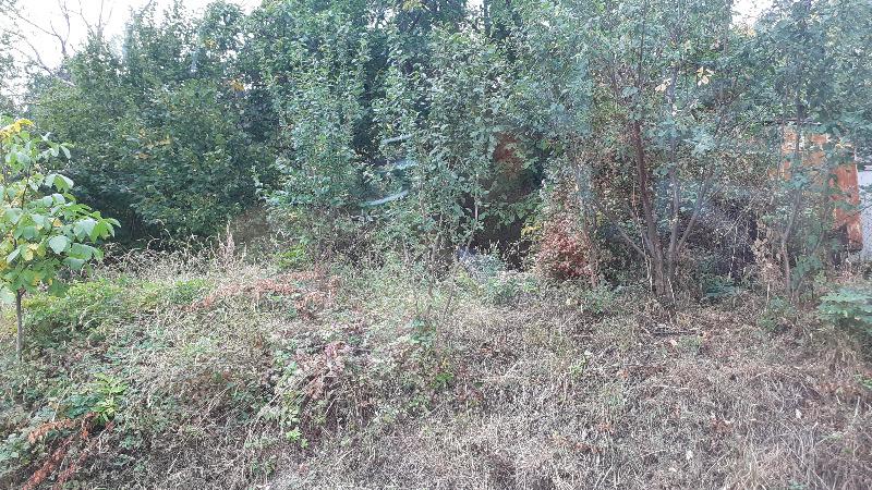 Na prodej  Spiknutí oblast Plovdiv , Car Kalojan , 2800 m2 | 23970413 - obraz [2]