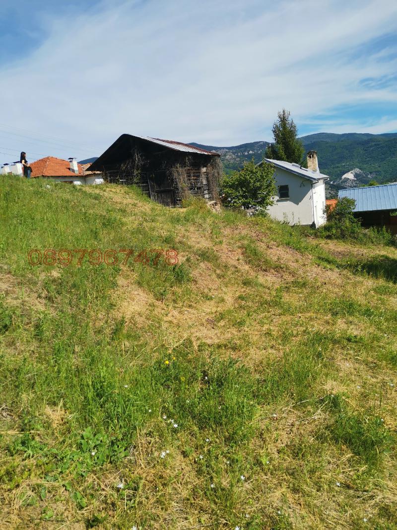 Продава ПАРЦЕЛ, с. Павелско, област Смолян, снимка 5 - Парцели - 52784797