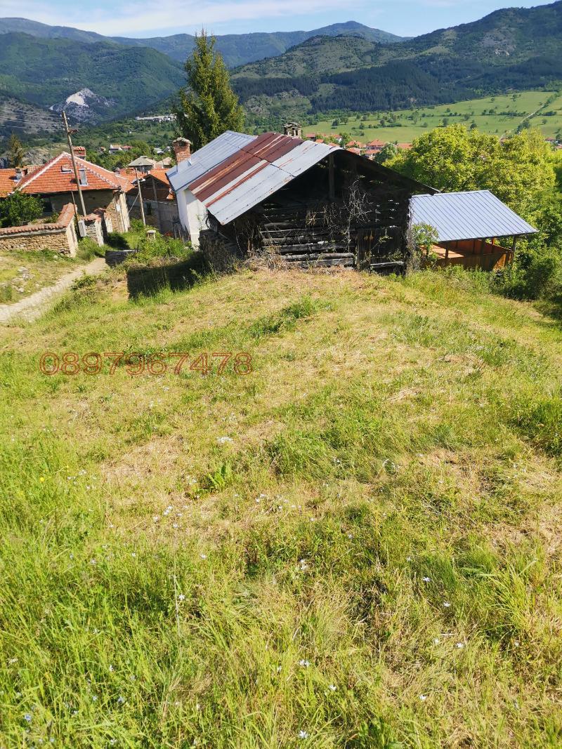 Продава ПАРЦЕЛ, с. Павелско, област Смолян, снимка 3 - Парцели - 52784797