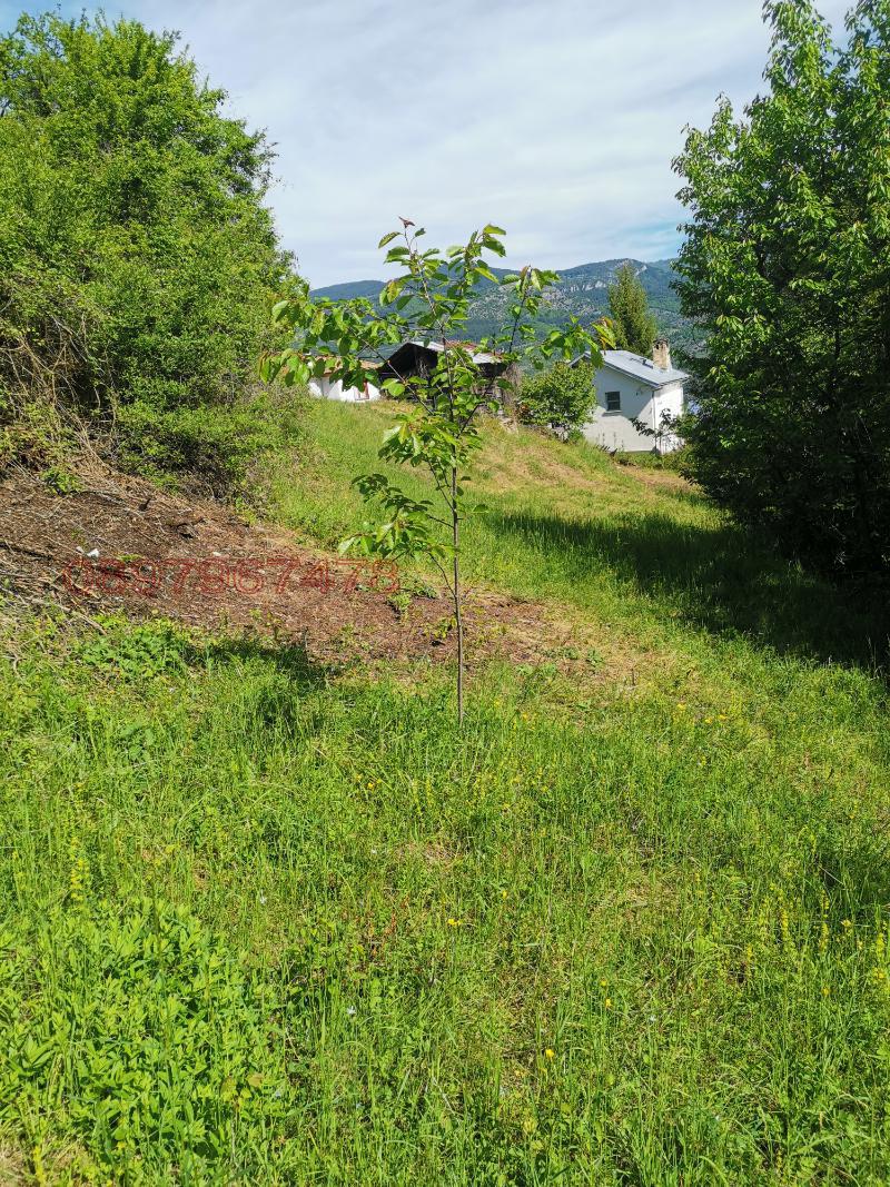 Продава ПАРЦЕЛ, с. Павелско, област Смолян, снимка 6 - Парцели - 52784797