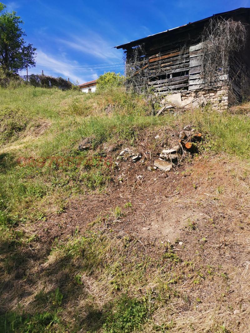 Продава ПАРЦЕЛ, с. Павелско, област Смолян, снимка 2 - Парцели - 52784797