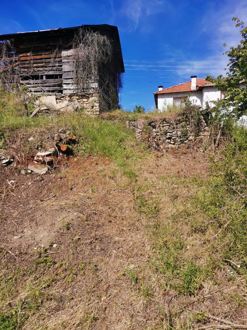 Продава ПАРЦЕЛ, с. Павелско, област Смолян, снимка 10 - Парцели - 52784797