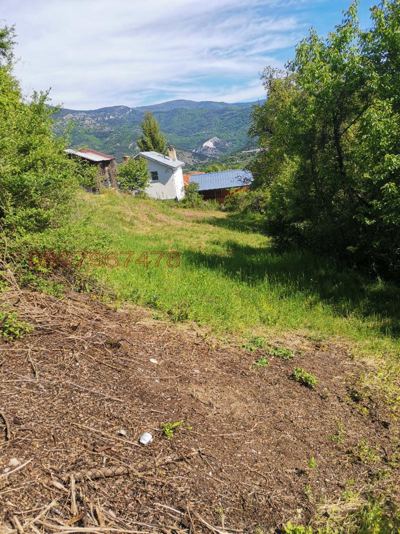 Продава ПАРЦЕЛ, с. Павелско, област Смолян